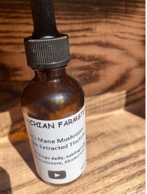 Lion’s Mane Tincture – Cognitive Boost, Memory Support & Nerve Health