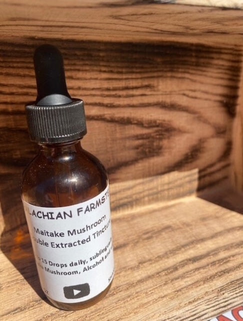 Maitake mushroom tincture bottle with dropper - 2oz immune support supplement"